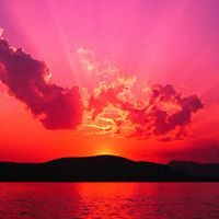 Pamela Kimble Photo 18