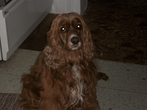 Nancy Mccord Photo 22