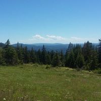 Randy Wolf Photo 15 Randy Wolf Photo 15