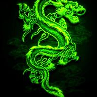 Dung Tran Photo 9