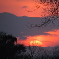 Jan Howell Photo 16