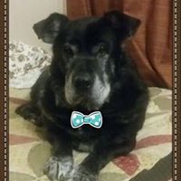 Tracy Mcdermott Photo 5