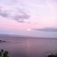 Jane Mcconnell Photo 23