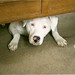 Gene Peek Photo 5