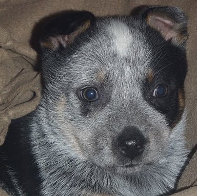 Bonnie Duran Photo 16 Bonnie Duran Photo 16