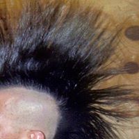 Jim Collette Photo 4