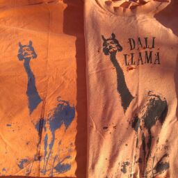 Sean Mcguire Photo 14