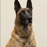 Damon Fletcher Photo 10