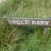 Richard Bogle Photo 25