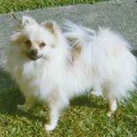 Robyn Fleming Photo 7