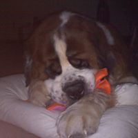 Alfred Riley Photo 9