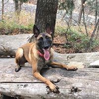 Sara Mccune Photo 19