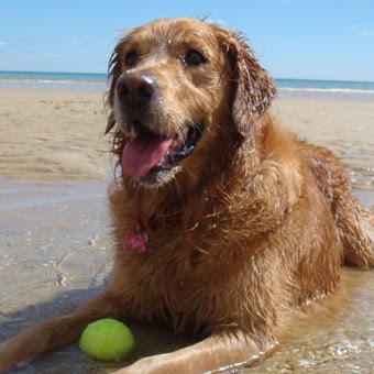 Michelle Poole Photo 13