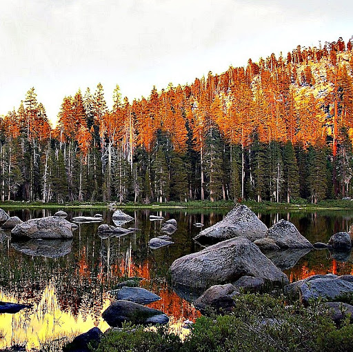 Allen Bailey Photo 39