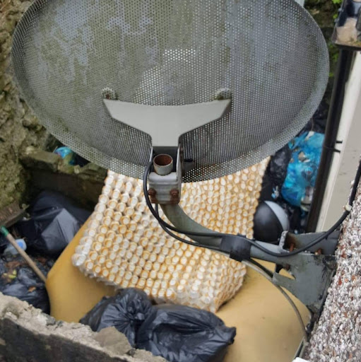 Janet Griffiths Photo 29