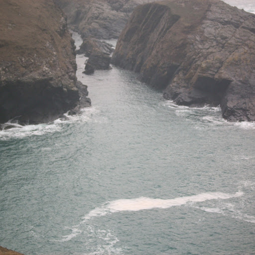 Catherine Bosworth Photo 3