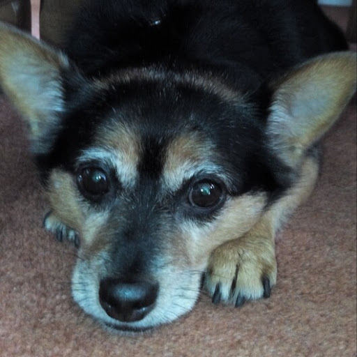 Edward Hull Photo 19