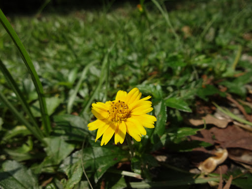 Vicky Cheng Photo 12