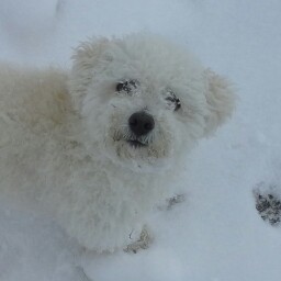 Angela Phillips Photo 34 Angela Phillips Photo 34