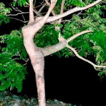 Yin Lee Photo 17