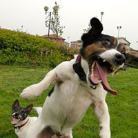 Cathy Rodgers Photo 16