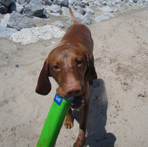 Bethany Williams Photo 30