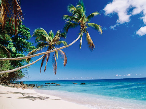 Theresa Morris Photo 29