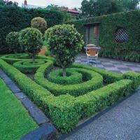 Elizabeth Bloch Photo 12