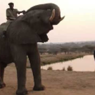 Terry O'Neill Photo 26 Terry O'Neill Photo 26