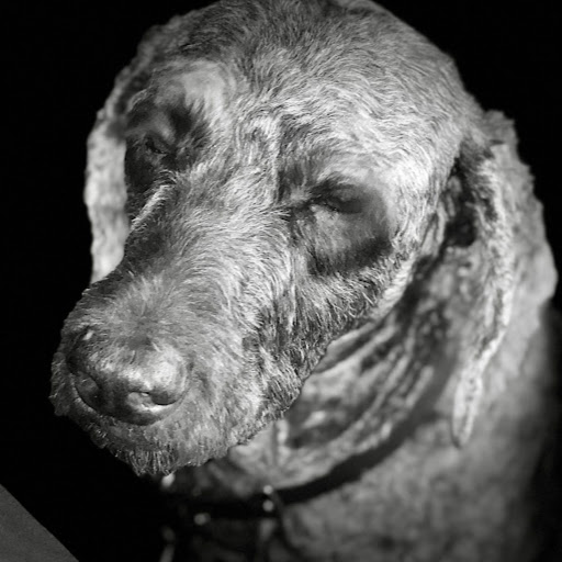 John Combs Photo 39