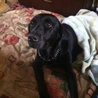 Ellen Dickinson Photo 8