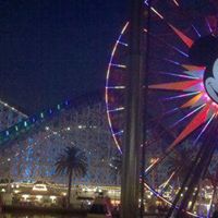 Debra Blank Photo 8