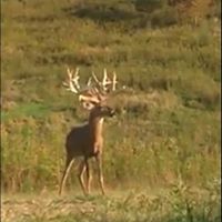 Gary Russell Photo 25