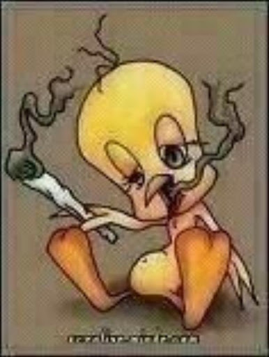 Fred Austin Photo 41