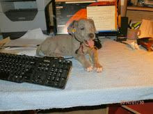 Jay Garrison Photo 11