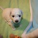 Michelle Pappas Photo 4