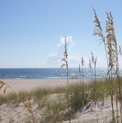 Karen Walters Photo 14