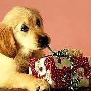 Sandra Treen Photo 2