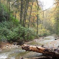 Edna Hamilton Photo 23