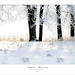 Crystal Bourque Photo 21