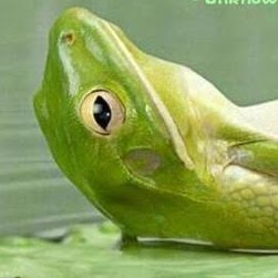 James Mcclintock Photo 34 James Mcclintock Photo 34