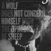 Daniel Hatfield Photo 18