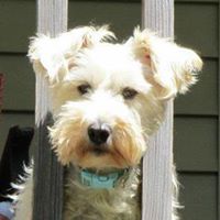 Deborah Kyle Photo 6