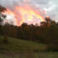 Edward Conner Photo 20
