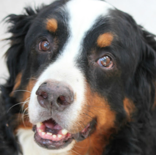 Colleen Morrissey Photo 4