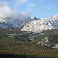 Jess Mccloud Photo 6