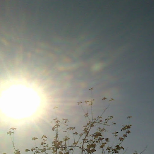 Nicole Fuller Photo 22