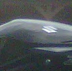 Larry Abbott Photo 28