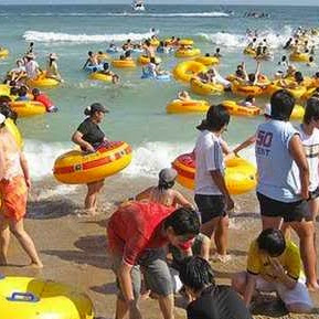 Susan Michaels Photo 35