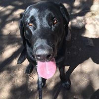 Jennifer Marcus Photo 13